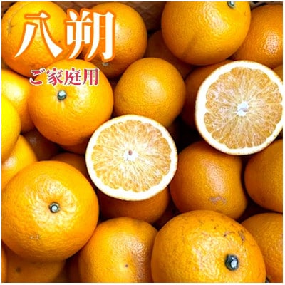 【まごころ手選別】和歌山産　八朔 約4kg (サイズ混合) 家庭用【2027年発送】