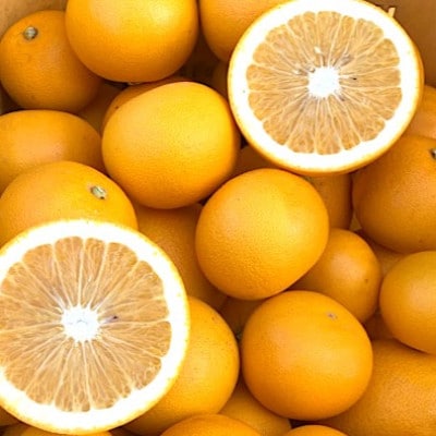 【まごころ手選別】和歌山産の八朔　約10kg(サイズ混合)家庭用【2027年発送】