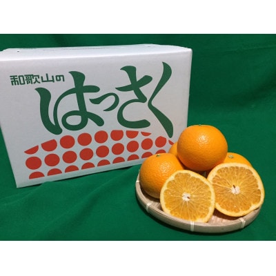 【まごころ手選別】和歌山県産はっさく　約10kg　S～Mサイズ【2027年1月中旬より順次発送】