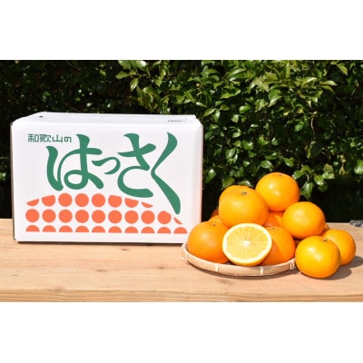 【2027年1月より順次発送】【まごころ手選別】和歌山県産はっさく・10kg大玉(2L～4L)