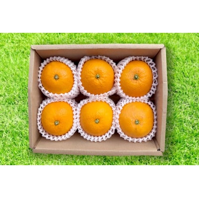 【まごころ手選別】和歌山産　八朔　6玉×3箱　L～2Lサイズ【2027年1月中旬より順次発送】