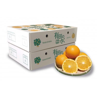 【まごころ手選別】和歌山産　八朔　化粧箱入り(12玉×2箱、L～2Lサイズ)【2027年発送】