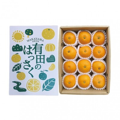 【まごころ手選別】和歌山産　八朔　化粧箱入り(12玉×2箱、L～2Lサイズ)【2027年発送】