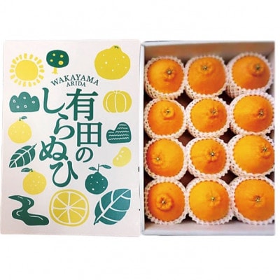 【まごころ手選別】和歌山産　有田の不知火　化粧箱 (12玉×2箱、L～2Lサイズ)