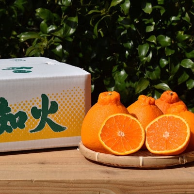 【まごころ手選別】有田の不知火(しらぬひ)　約4kg　秀品【2027年2月より順次発送】