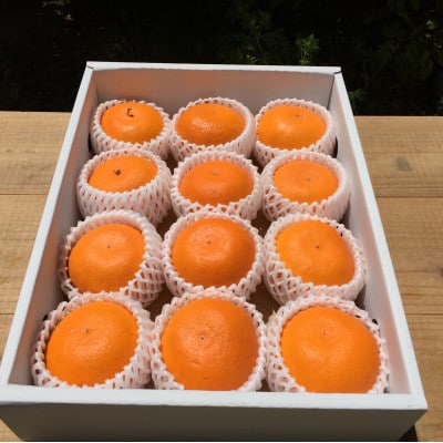 【2027年先行予約】【まごころ手選別】 せとか　13～15玉(M～2Lサイズ)化粧箱入り