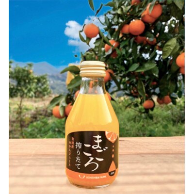 【まごころ搾りたて】有田みかんジュース100%　180ml　20本
