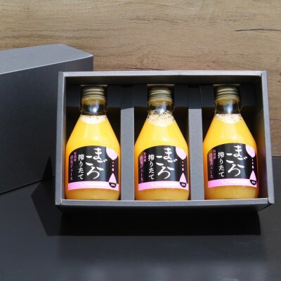 【まごころ搾りたて】清見　100%ジュース　180ml　3本　贈答用