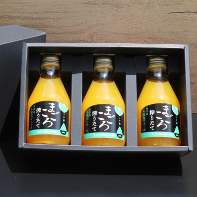 【まごころ搾りたて】不知火　100%ジュース　180ml　3本　贈答用