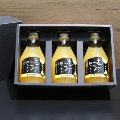 【まごころ搾りたて】八朔　100%ジュース　180ml　3本　贈答用