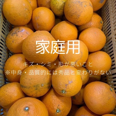 【2027年3月上旬より順次発送】和歌山県産清見　約2.5kg家庭用(サイズ混合)【まごころ手選別】