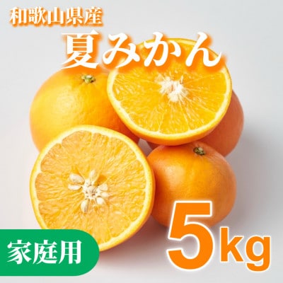 【2027年4月下旬より順次発送】和歌山県産　夏みかん5kg 家庭用(サイズ混合)【まごころ手選別】
