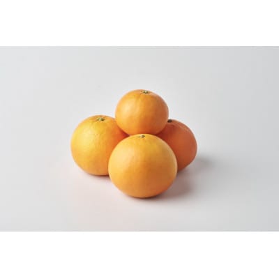 【2027年4月下旬より順次発送】和歌山県産　夏みかん5kg 家庭用(サイズ混合)【まごころ手選別】