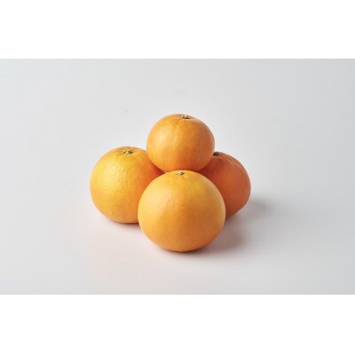 【2027年4月下旬より順次発送】和歌山県産　夏みかん　5kg 秀品(サイズ混合)【まごころ手選別】