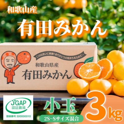 【先行受付2026年11月より順次発送】有田みかん3kg小玉(2S～Sサイズ混合)【まごころ手選別】