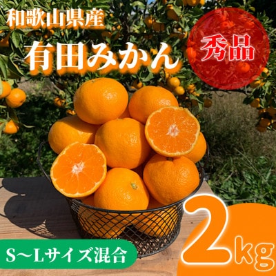 【先行受付2026年11月より順次発送】有田みかん　約2kg(S～Lサイズ混合)【まごころ手選別】