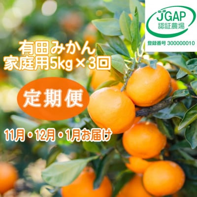 【発送月固定定期便】【まごころ手選別】有田みかん　5kg　家庭用【11月・12月・1月発送】全3回
