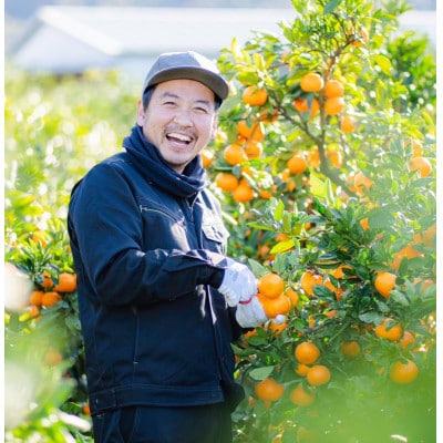 【発送月固定定期便】【まごころ手選別】有田みかん　5kg　家庭用【11月・12月・1月発送】全3回