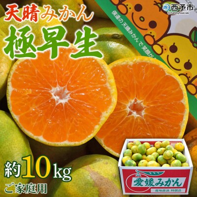 愛媛県明浜産　天晴みかん(極早生みかん)　10kg