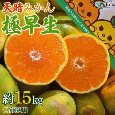 愛媛県明浜産　天晴みかん(極早生みかん)　15kg