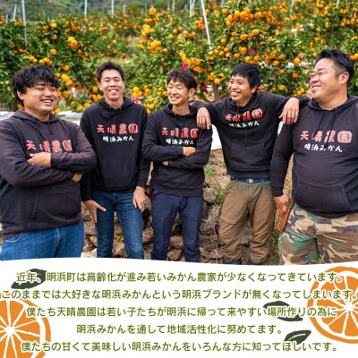 愛媛県明浜産　天晴みかん(極早生みかん)　15kg