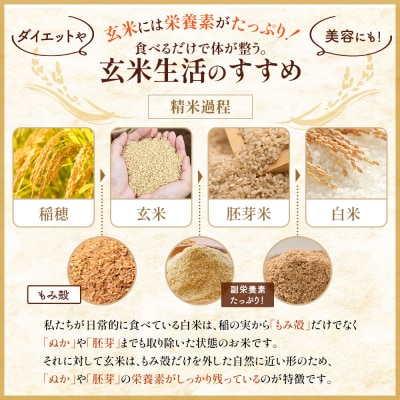 【令和8年度産】ななつぼし玄米 食味ランキング「特A」(10kg)