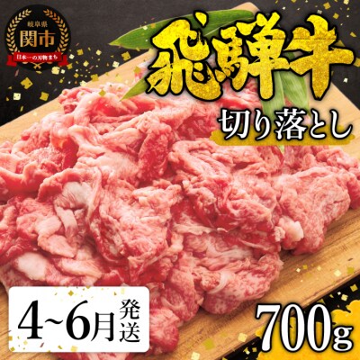 【4月～6月発送】特選飛騨牛【切り落とし】700g