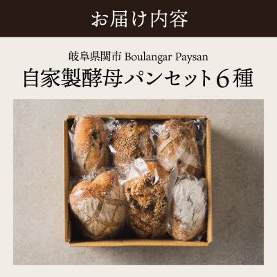 ペイザン自家製酵母セット 【配送不可地域:離島・一部山間部等】