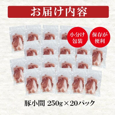 宮崎県産豚肉小間切れ250g×20パック 小分け合計5kg[2858]
