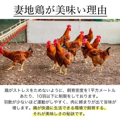 妻地鶏炭火焼&チキン南蛮セット(炭火焼き100g×3、チキン南蛮190g×2)　30[1476]