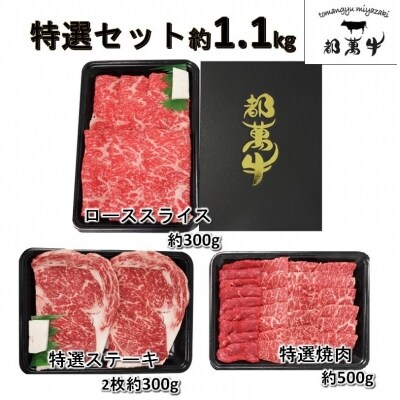 都萬牛特選セット【約1.1kg】(焼肉・スライス・テーキ)[1167]