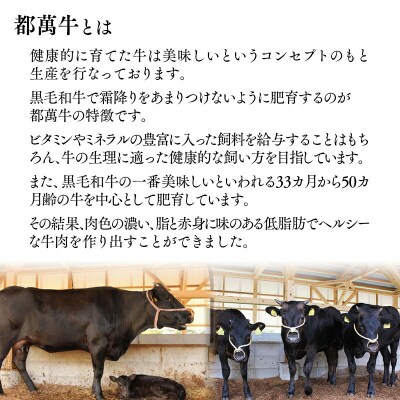都萬牛【定期便】 プレミアムセット(4回定期便)ステーキ焼肉すき焼きしゃぶしゃぶ[2580]