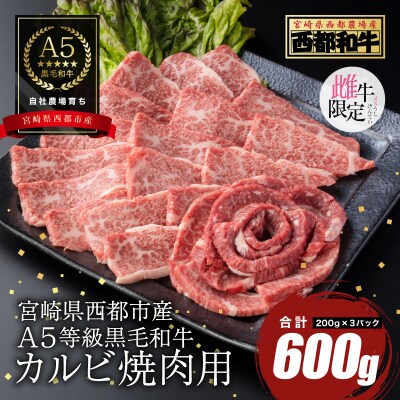 【A5等級黒毛和牛】カルビ焼肉(200g×3)宮崎県産 カミチクファーム[2708]