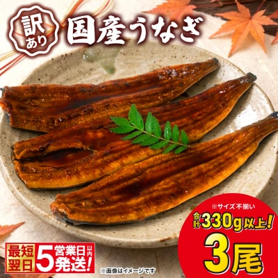 〈最短翌日～5営業日以内発送〉【訳あり】 国産 うなぎ 蒲焼 3尾 330g以上 サイズ不揃い 鰻
