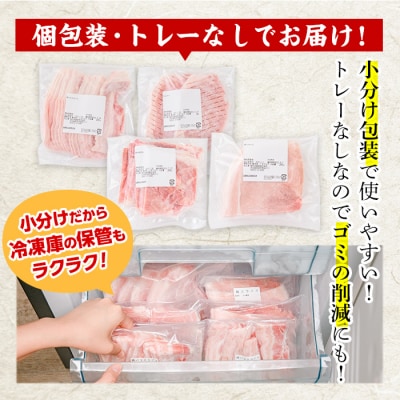 大分県産 豚肉 バラエティーパック(合計800g)