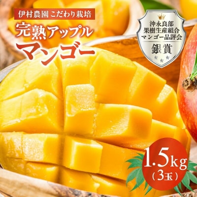 【2026年先行予約】伊村農園こだわり栽培!完熟アップルマンゴー1.5キロ