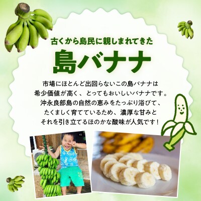 【先行受付】島バナナ農家が本気で作る完全自然栽培の島バナナドライフルーツ30グラム×2袋