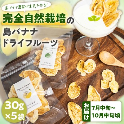【先行受付】島バナナ農家が本気で作る完全自然栽培の島バナナドライフルーツ30グラム×5袋