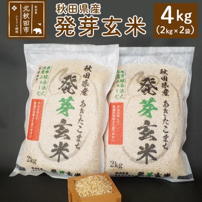 令和8年産 発芽玄米 4kg(2kg×2袋)ビタミン カルシウム 食物繊維|hkyu-080401