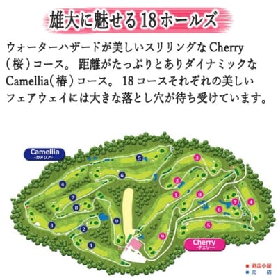 【トーシンさくらヒルズ ゴルフクラブ】ゴルフプレー券 平日  おひとり様分 