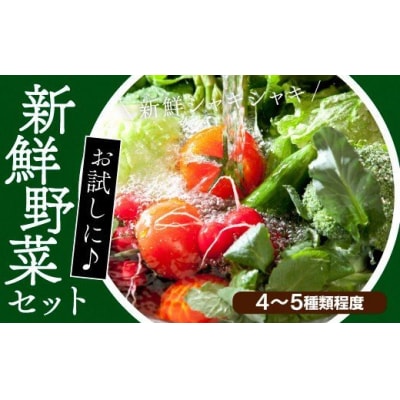 ちょこっと野菜セット　116001