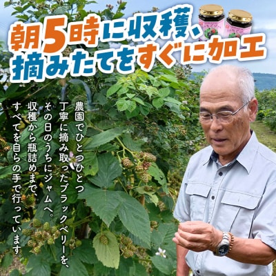 ジャム 木いちごジャム 2本セット てぃっちゃん農園 秋田県 北秋田市|tcne-010201