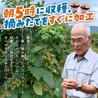 ジャム 木いちごジャム 3本セットてぃっちゃん農園 秋田県 北秋田市|tcne-010301
