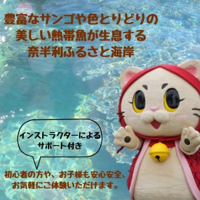 サップ+シュノーケリング60分遊び放題プラン利用券(1名)116025