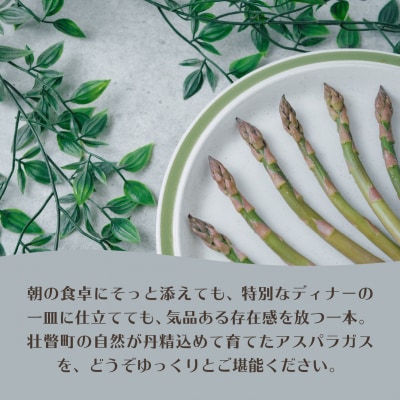 【2027年予約】朝採りグリーンアスパラ(春芽)M-L混合 約800g SBTAJ031