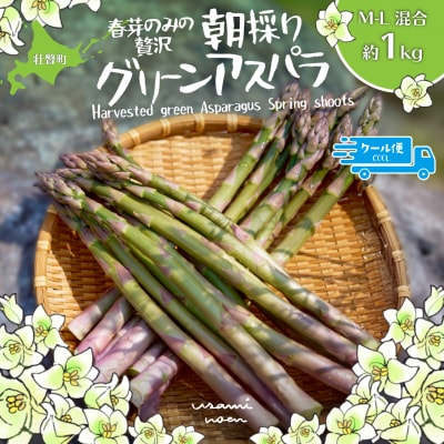 【2027年予約】朝採りグリーンアスパラ(春芽)M-L混合 約1kg SBTAJ032