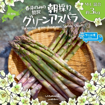 【2027年予約】朝採りグリーンアスパラ(春芽)M-L混合 約3kg SBTAJ035