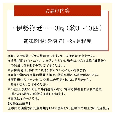 沖永良部島直送!素潜り漁師オススメの冷凍伊勢海老 約3キロ(3～10匹)