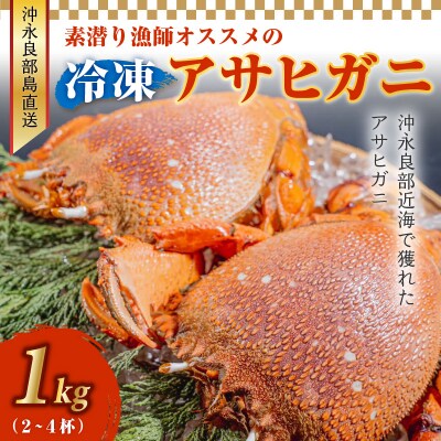沖永良部島直送!素潜り漁師オススメの冷凍アサヒガニ1キロ(2～4杯)