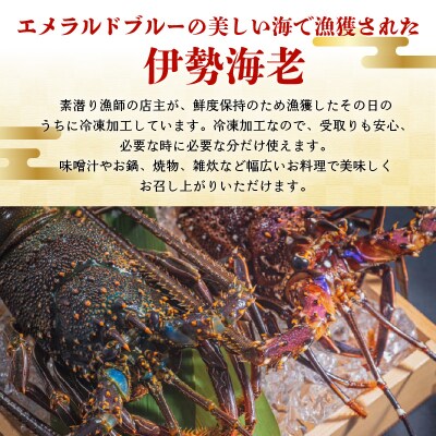 沖永良部島直送!素潜り漁師オススメの冷凍伊勢海老 約2キロ(3～7匹)